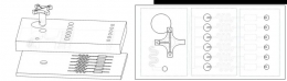 Diagram skematis dari chip mikrofluida | mp.weixin.qq.com/s, THU SIGS