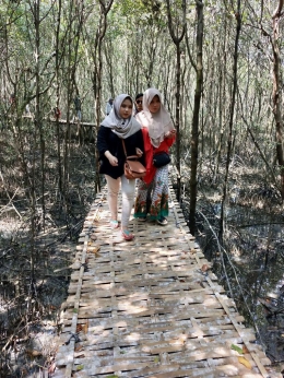 Pengunjung berjalan di atas rawa menerobos hutan mangrove Karangsong Indramayu (dok. pribadi)