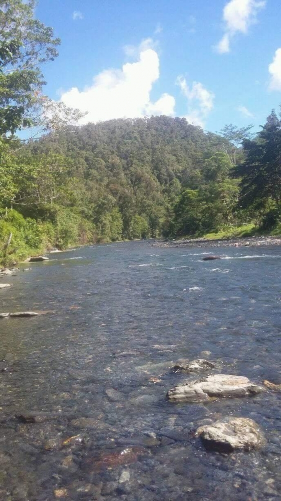 Gambar Sungai Kirime- Sumber Gambar : Docpri, Tera Wisal