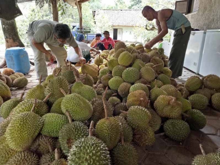 Pedagang durian di Blok Sinapeul | dokpri
