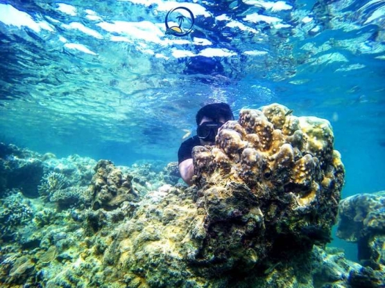 Ilustrasi Pulau Seribu I instagram @pulauseribuofficial