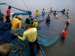 Nelayan Karangsong mencari ikan manyung--dokpri