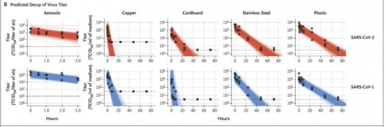 Salah satu hasil eksperimen penelitian Sar-Cov-1 dan Sars-Cov-2. Sumber ; nejm.org