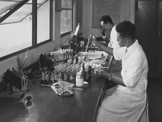 Dua laboran bumiputera pada Institut Wilhelmina, Warsa dan Soeardiman Ca. 1939. Sumber: Tropenmuseum.