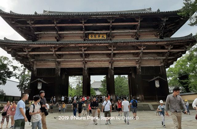 Dokumentasi pribadi | Nandaimon Gate, sebuah pintu gerbang dari kayu tua terbesar di Jepang ini, terlihat cantik, unik serta tua. Aku selalu terbelalak, jika melihat bangunan2 tua tradisional seperti ini .....