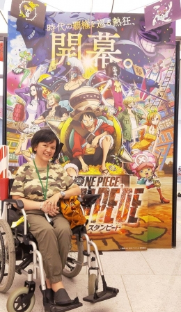 Dokumentasi pribadi | Dunia Toei, dunia One Piece