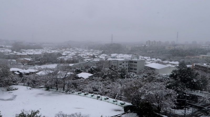 salju di Tokyo (dokpri)