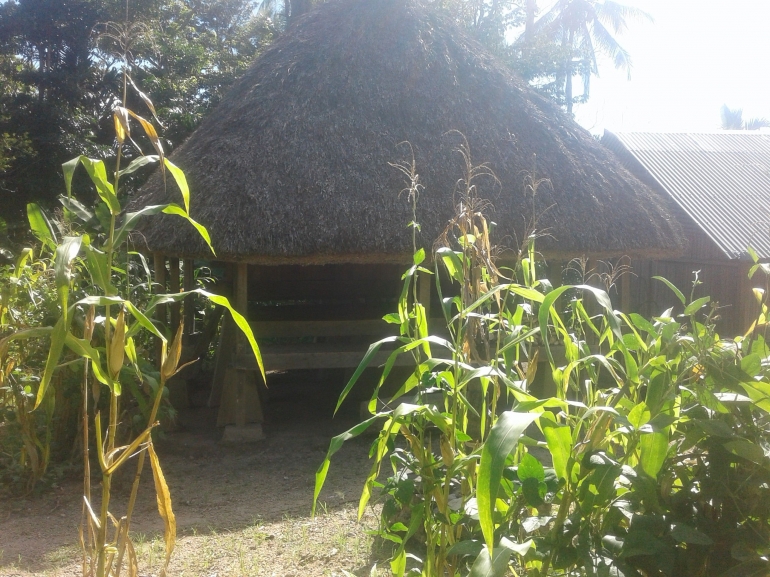 Dok. PribadiRumah Adat Nai Suri Ikun di Takar Desa Tunabesi
