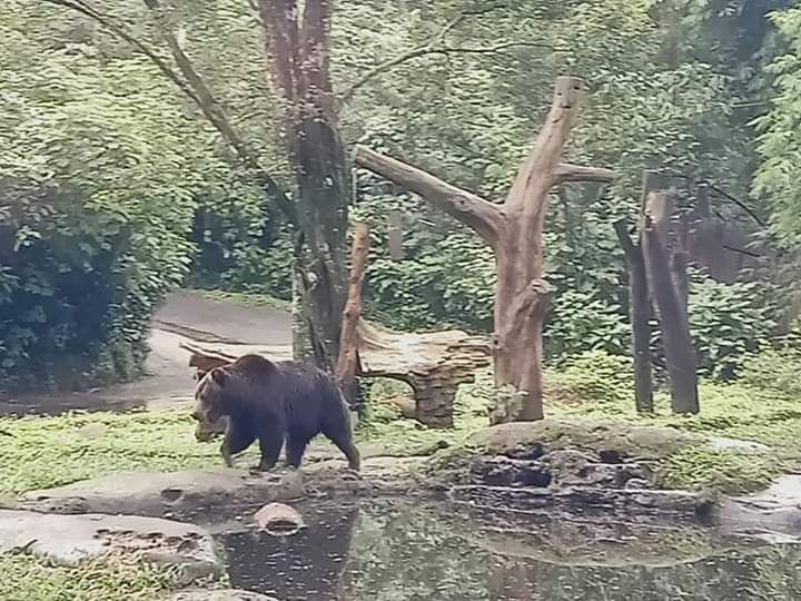 Dokumen pribadi