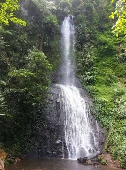 Curug Jaksa. Sumber: Suara.com