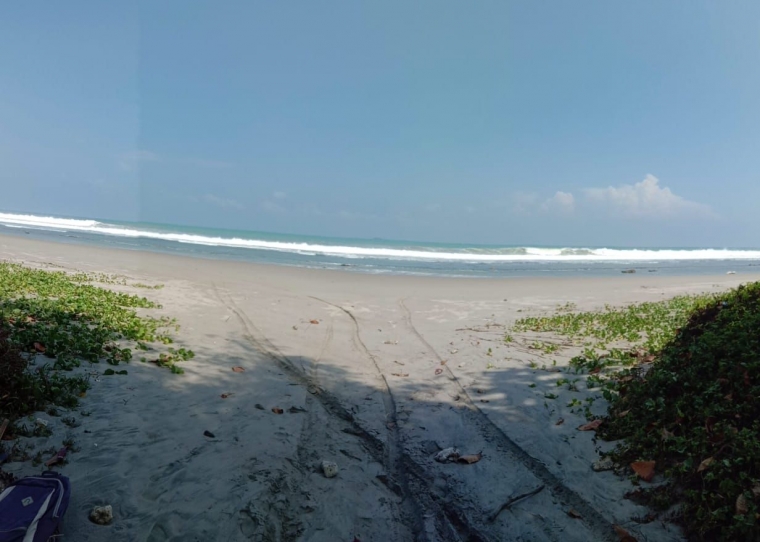 Pantai Bengkulu (Foto : Dok. Pribadi)