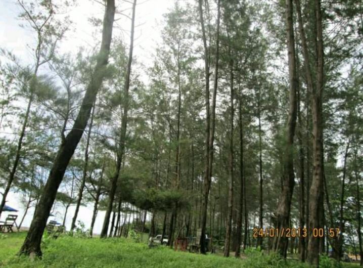 Pantai Bengkulu (Foto : Dok. Pribadi)
