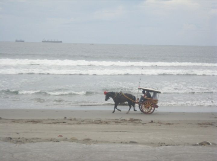 Pantai Bengkulu (Foto : Dok. Pribadi)