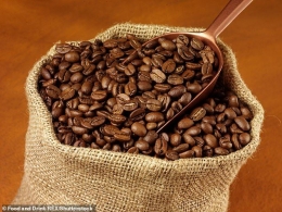 ilustrasi biji kopi: alamy.stock