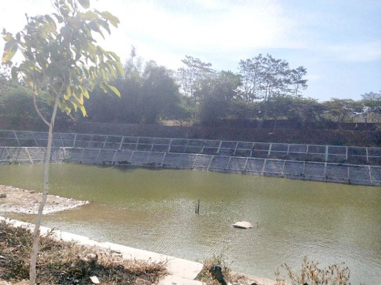 Kebun yang semula tak terurus, kini mulai dibersihkan oleh pemiliknya. | dokpri