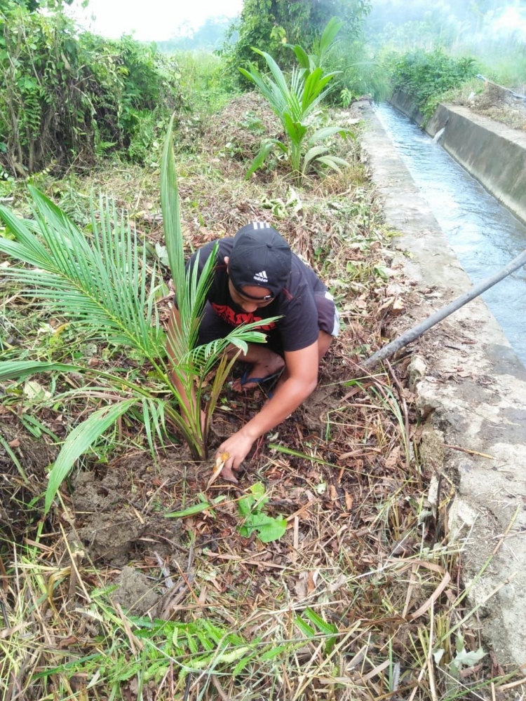 Pilih Tinggal di Kebun Jauhi Covid-19 (dok. pribadi)