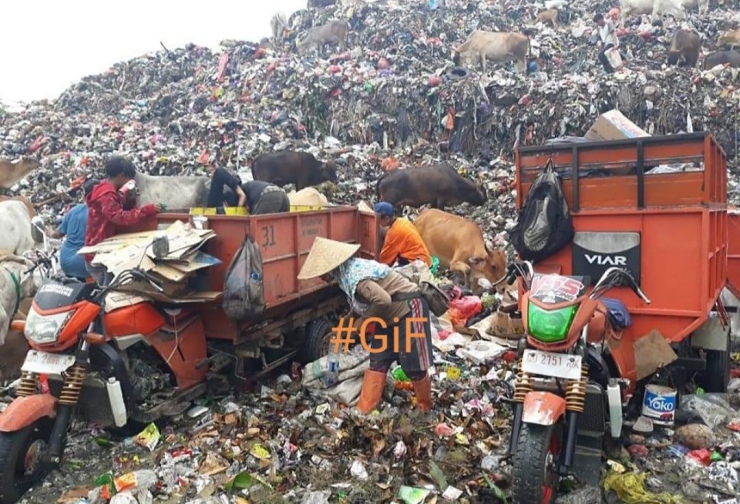 Ilustrasi: Kondisi TPA Tamangapa Antang Kota Makassar yang operload dan perlu ditutup dengan penanganan pola Sanitary Landfill. Sumber: Rano/GiF Makassar