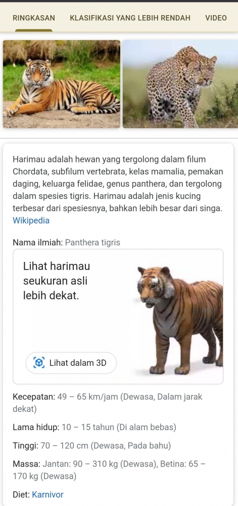 Tangkapan layar hasil pencarian kata kunci