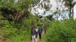 Menjelajahi hutan, meninjau tanaman kopi HKm Nanggala sebagai skema Perhutanan Sosial di  Toraja Utara. Sumber: Dokumentasi Pribadi Andi Setyo Pambudi