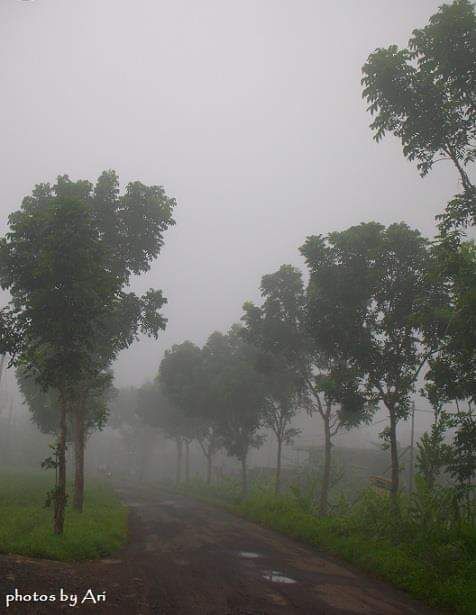 Kabut pagi di kampung. Photo by Ari