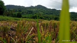 Dokpri. Dusun Kuta, Desa Rasabou, Kec. Hu'u, Kabupaten Dompu NTB