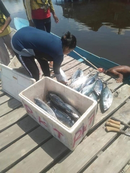 Hasil Tangkapan Ikan Cakalang warga Desa Limbo Sumber : Facebook/Jetho alfin