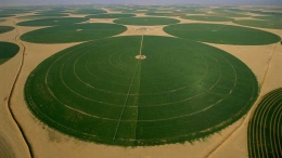 Pertanian skala besar di Arab Saudi ( sumber: marcopolis.net)
