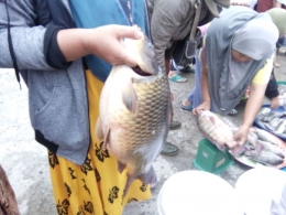 Pedagang ikan di Pasar Pagi Tanjung Tanah. Dokumentasi pribadi.