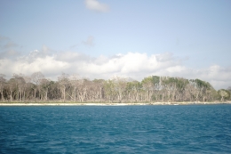 Ombak tinggi menerjang pepohonan sekitar perjalan mendekai pulau Peucang