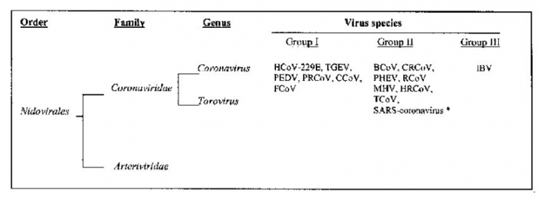 Coronavirus per-kelompok. Sumber: researchget.net