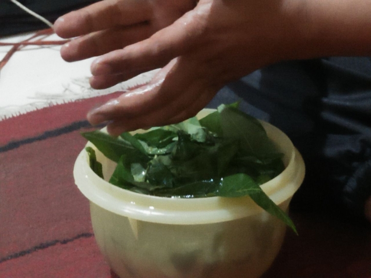 Bulung Gadung Puyu Nikmat Sehat dan Hemat dalam Satu Bulung Gadung Puyu Nikmat Sehat dan Hemat dalam Satu