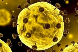 Ilustrasi Virus Corona(Stocktrek Images/Getty Images )