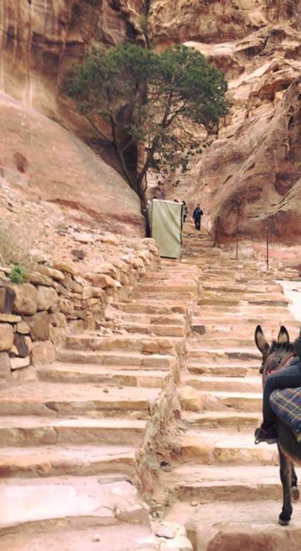 Sumber: dokpri | Anak tangga untuk mencapai Ad Deir (The Monastery)
