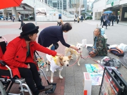 2 ekor anjing dengan tuannya, lansia homeless di Stasiun Yokohama | Dokumentasi pribadi