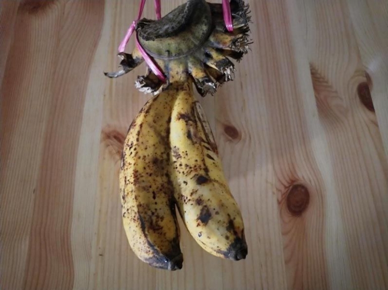 Pisang dempet selalu tersisa. (foto: dok. pribadi)