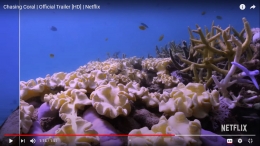 Gambar 1. Soft coral yang sehat di The Great Barrier Reef Sumber: Trailer film Chasing Coral (www.chasingcoral.com)