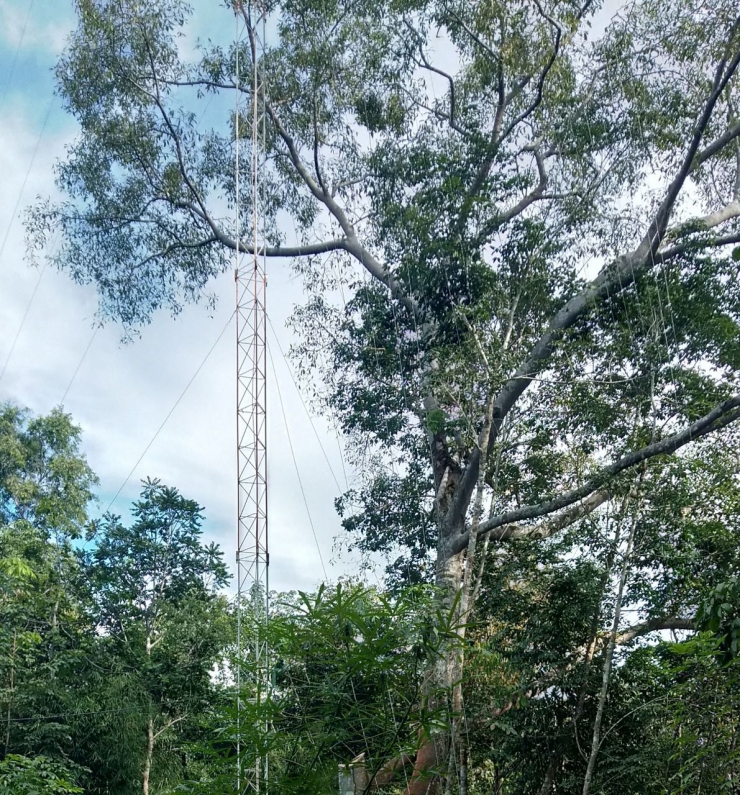 Foto Artikel Di Balik Putut Nonok Kompasiana com Foto Artikel Di Balik Putut Nonok Kompasiana com