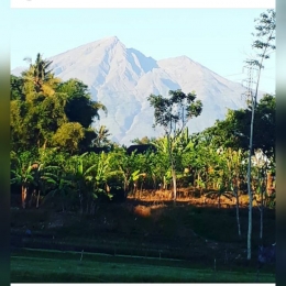 Foto Gunung Merbabu|Sumber : Dok. Pribadi/Yunita Kristanti