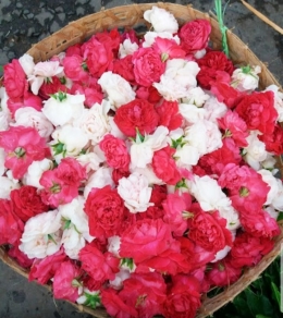 Bunga Mawar jadi primadona menjelang bulan ramadan| dokpri