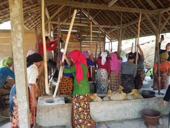 Kegiatan Menumpuk padi para wanita di Kasepuhan Ciptagelar, Sumber : Yulli_yully