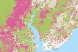 Indikasi hilangnya tutupan pada lahan bervegetasi di wilayah mangrove di Teluk BalikpapanSumber: Global Forest Watch (Data: Hansen Tree Cover Loss)