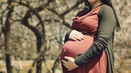 lustrasi Ibu hamil, awal anak manusia mengenal alam seutuhnya tanpa emosi (sumber gambar : pixabay.com)