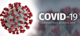 Corona Virus Disease 2019 (Covid-19)