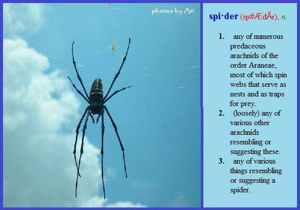 Belajar di Rumah Siapa Takut Yuk Buat Flash Card Belajar di Rumah Siapa Takut Yuk Buat Flash Card