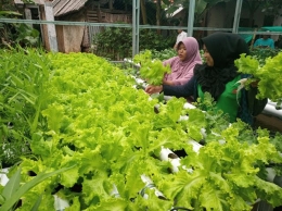 Foto : publikasi pribadi Lembur Hejo