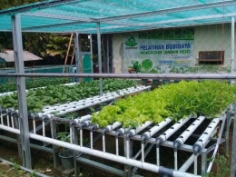 Green House Hidroponik Lembur Hejo