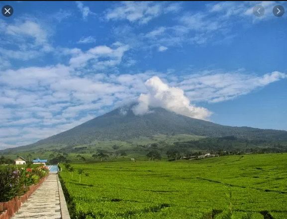 Wisata di Kota Berpagar Alam Kota Pagar Alam Halaman 1 Wisata di Kota Berpagar Alam Kota Pagar Alam Halaman 1