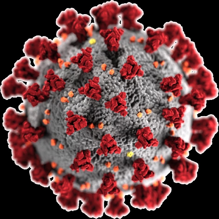 Coronavirus | Credit: www.cdc.gov