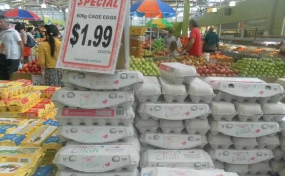 ket.foto; kini harga telur ,sebelum covid Rp.20.000 perlusin, kini naik menjadi 3 dolar perlusin atau 30 ribu rupiah perlusin./dokpri