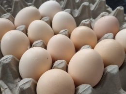 Telur Bule, langsung order 10kg dari teman (dok.pribadi)